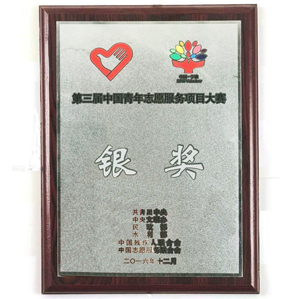 中国青年志愿服务项目大赛银奖