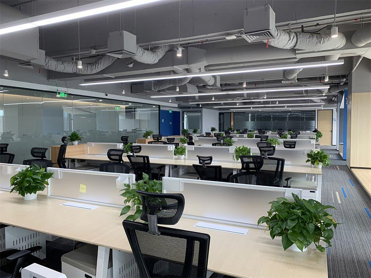 小型办公室装修设计的三大目标与绿化对环境的改善